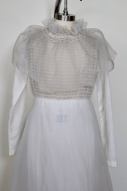 1960's Swiss Dot Pleated Ruffle Collar Prairie Dress